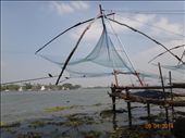 Redes chinesas em Fort Kochi: by andreamxavier, Views[226]