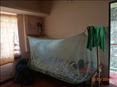 Minha cama no ashram: by andreamxavier, Views[332]