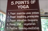 Yoga Way: by andreamxavier, Views[356]