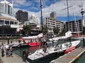 Barcos do New Zealand Team campeões do Americas Cup- Auckland: by andreamxavier, Views[298]
