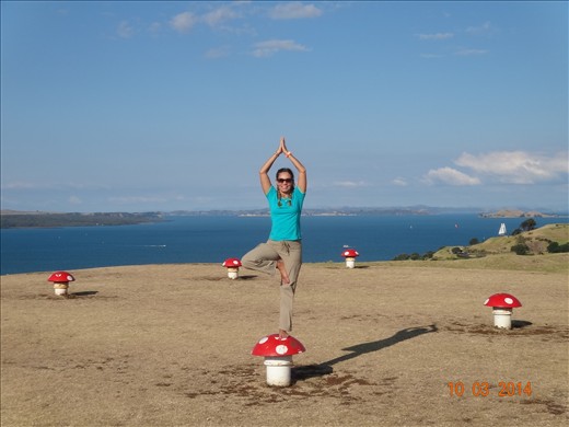 Devonport- subúrbio de perto de Auckland