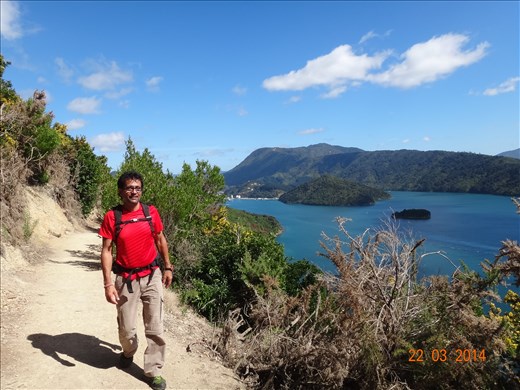 Trilha em Marlborough Sounds