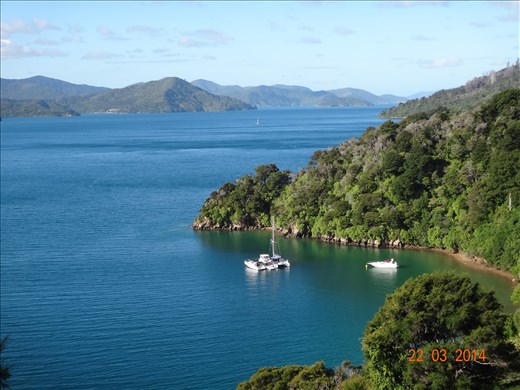 Trilha em Picton: Snout Track