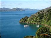 Trilha em Picton: Snout Track: by andreamxavier, Views[317]