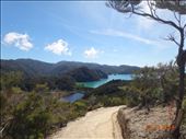 Trilha em Anchorage Bay, Abel Tasman Park: by andreamxavier, Views[220]
