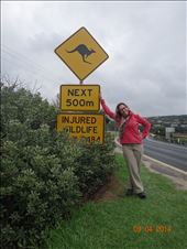 by andreamxavier, Views[201]