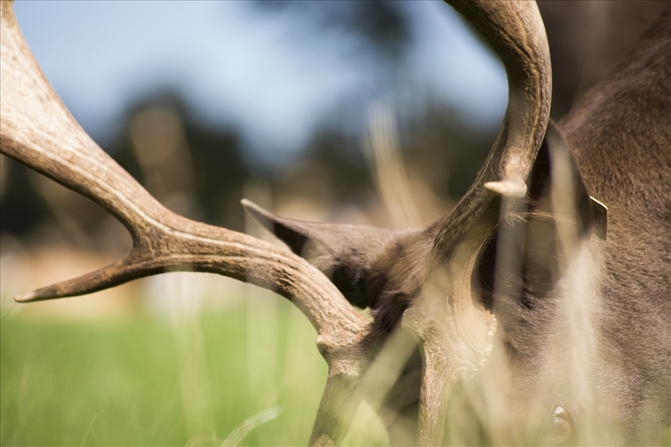 An unexpected close encounter.