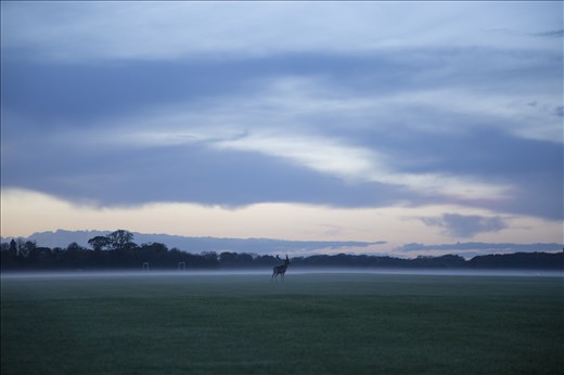 A visit to the park at sunset brings different feelings to an usual sight.