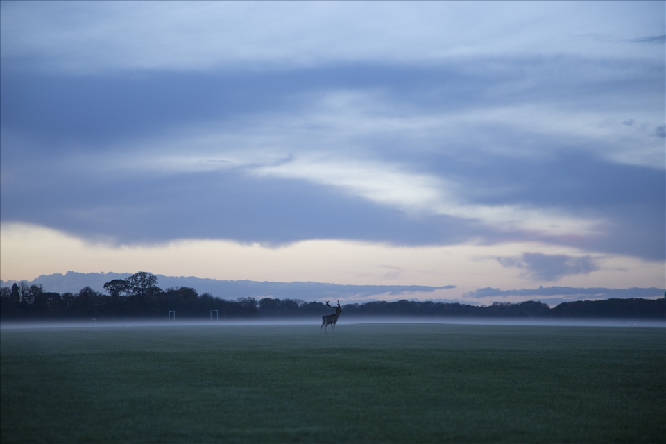 A visit to the park at sunset brings different feelings to an usual sight.