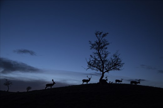 Going back home in almost complete darkness. Nature was giving us a lot..