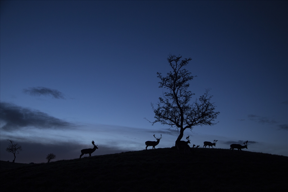 Going back home in almost complete darkness. Nature was giving us a lot..