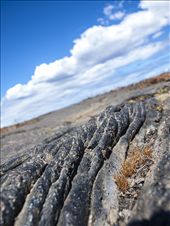 Pahoehoe: A Hawaiian word geologists adopted to describe this type lava flow.: by andrearip, Views[659]