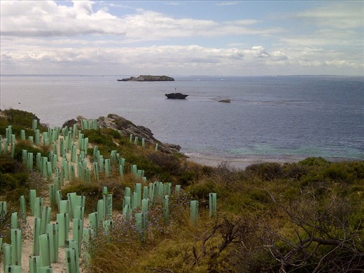 Some places  in our cycling track along the coastal are rehabilitated 