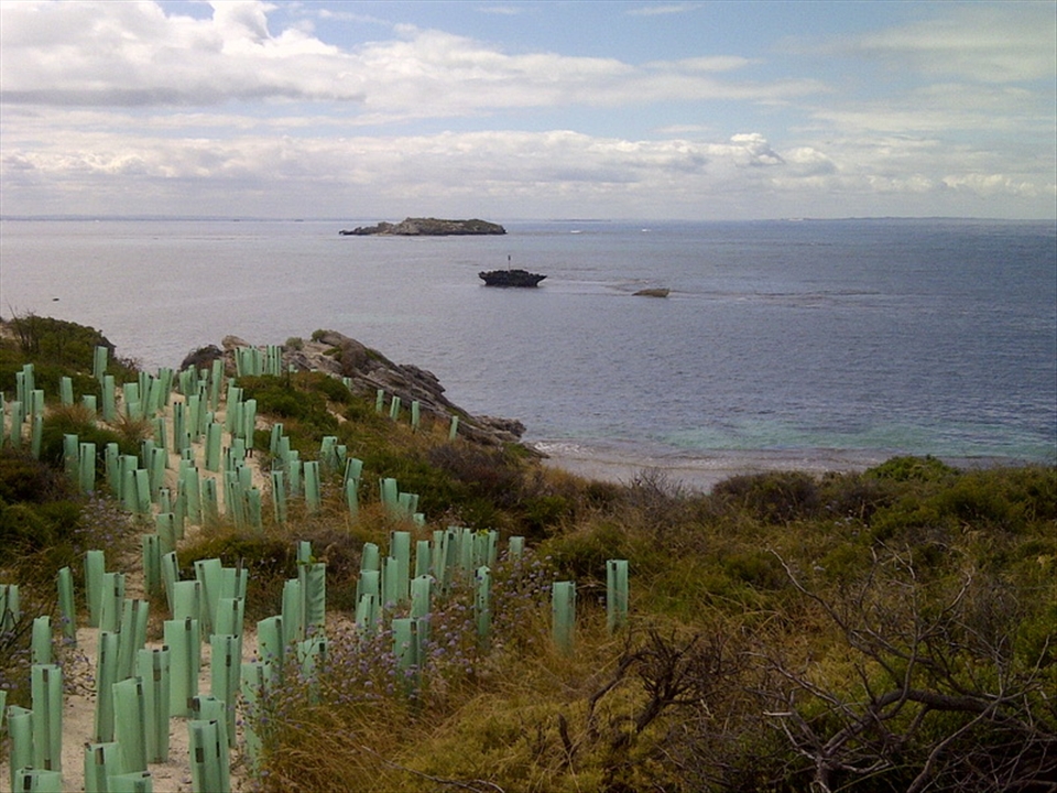 Some places  in our cycling track along the coastal are rehabilitated 