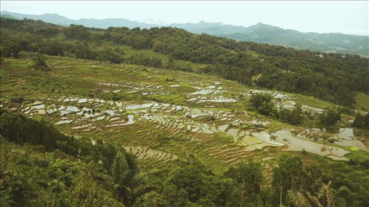 Feeling grateful and far away from everything I knew