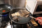Codfish boiled : by andreia-leite, Views[400]
