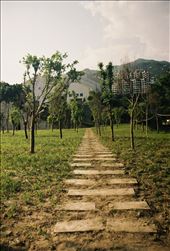 Dusty track: by andrewcount, Views[193]