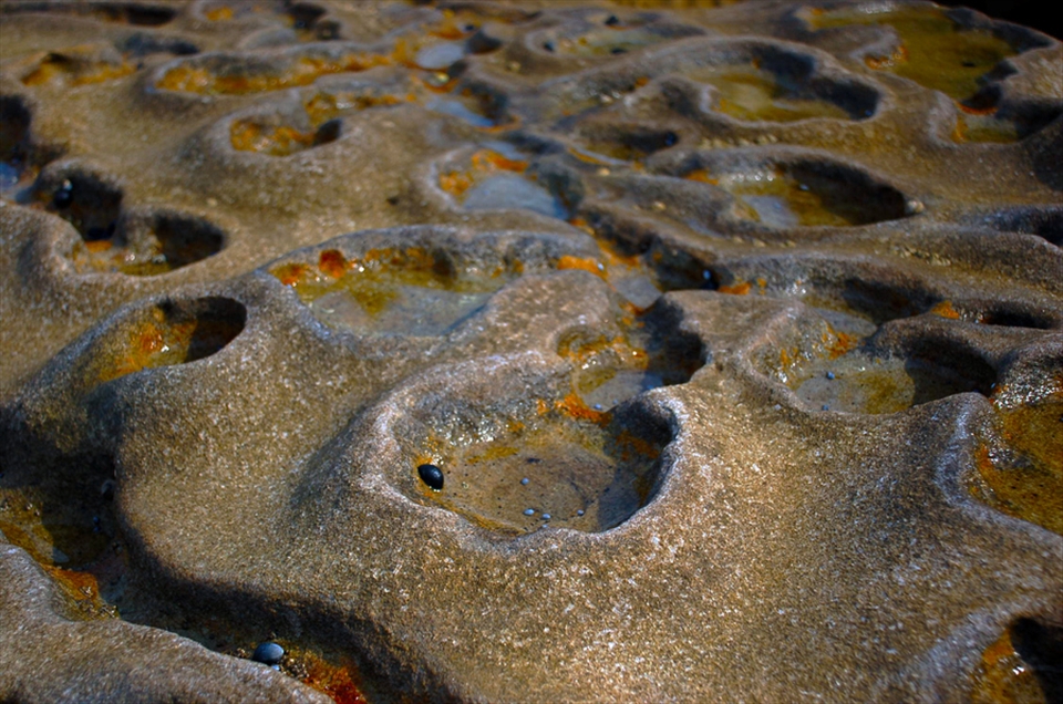 The complexity of these tiny pools and how they interconnect is beautiful