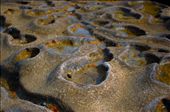 The complexity of these tiny pools and how they interconnect is beautiful: by andrewedwards94, Views[288]