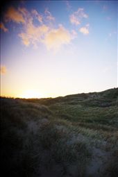 So far from home, yet it felt like I was there: by andrewedwards94, Views[263]