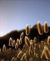 The high wind speed and fast movement of these things made the photo what it is: by andrewedwards94, Views[310]