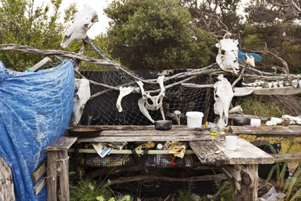 While on our adventures on Robins there are many strange and wonderful things