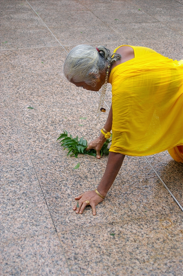 Women kneel instead of roll during the Thimithi festival. There is a difference afforded to the women but there is still quite a level of endurance required as the ritual kneeling or prostrating is completed every few paces. The neem leaves are to ward off evil