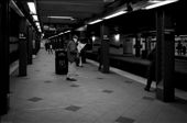 The Transit  Life of a New Yorker -
A man reads the paper while he waits for his train, even with all the commotion of trains whizzing by he stays affixed to the black and white tracks of text.: by andrewphan, Views[214]
