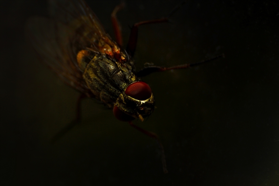 I intentionally chose to shoot around my environment, i merged my world with theirs. I found a story that interested me, where the ordinary became something quite extraordinary.