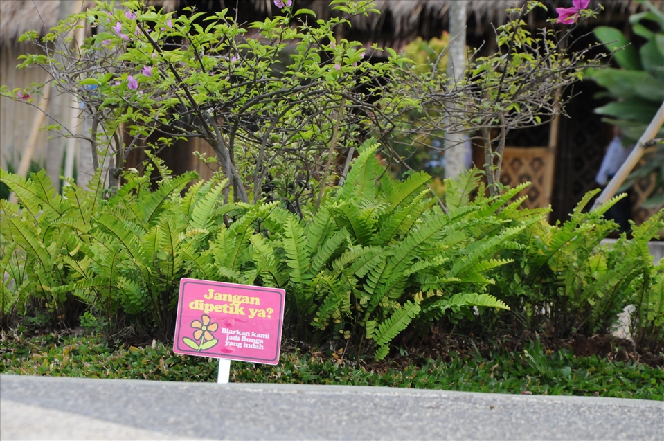 protecting plants for life