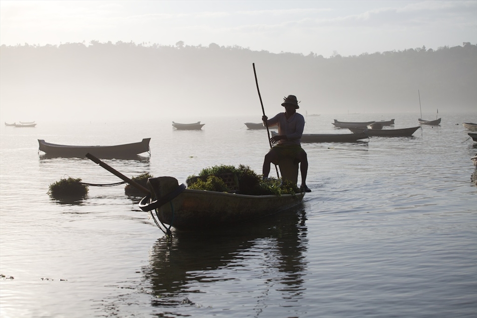 A farmer coming after harvested seaweed. It is six in the morning. He was working already for three hours.