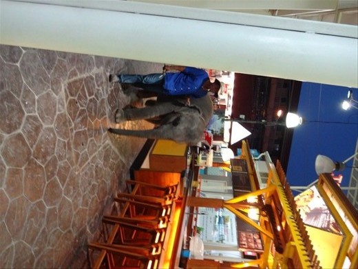 We're taking a stroll down an alley with shops, when all of a sudden, there's a baby elephant!  Surreal!