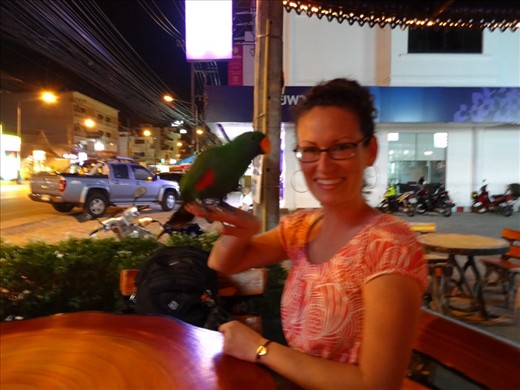 and then there was a parrot!