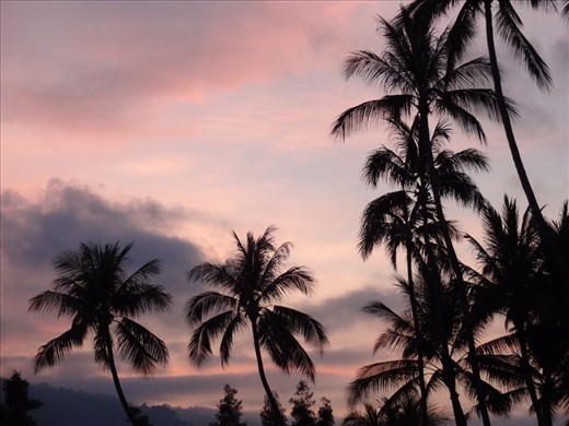 Have you ever seen a more beautiful sky at sunset?