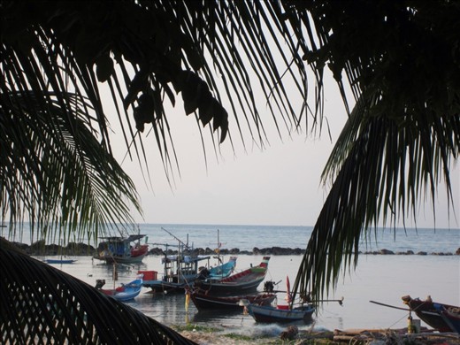 The view from our bungalow.