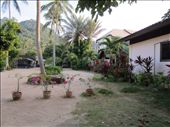 bungalow courtyard: by anealis314, Views[321]
