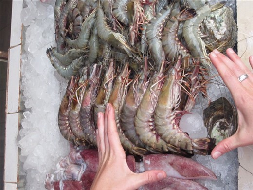 Biggest prawns I'ver ever seen