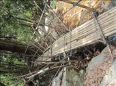 The bridge to the waterfall.  Very Indiana Jones.  We were pretty apprehensive when we got to it.  Then I said, f*ck it, and went for it.: by anealis314, Views[248]