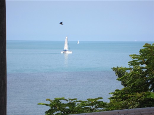 VIew #2.  I'm obsessed with sail boats and they are everywhere here!