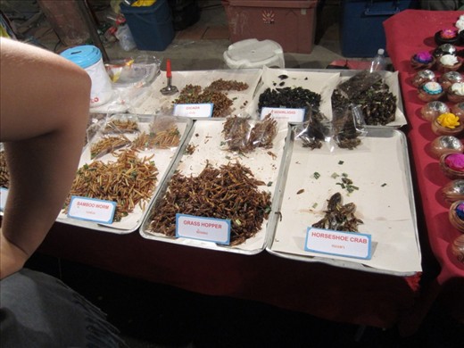 Bugs for consumption.  We have not gotten brave enough to eat this yet.