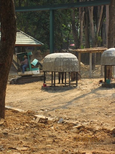 Humans on display at the zoo.  