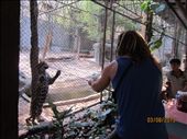 Luke feeding the leopard.: by anealis314, Views[163]