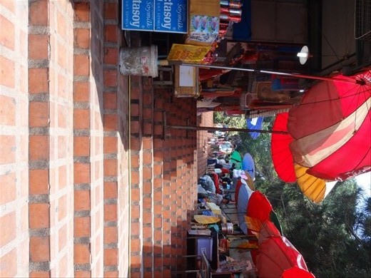 Wat Doi Suthep.  309 steps to the top.  You can take a cable car ride up, but miss all of the scenery.  