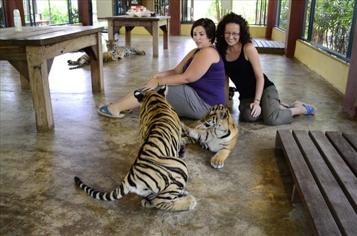 The cubs were rough housing and got really close to us.  It was fun to watch but really too close for comfort.  