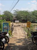The questionably constructed bamboo foot bridge leading to our bungalow.  Sophia sang a little diddy while crossing it, 