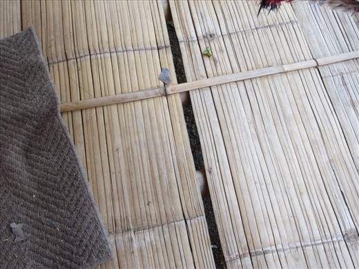 Porch of the bungalow.  Also made of bamboo.  Flimsy slats that we thought we were going to fall right through.