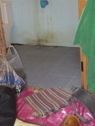 The pink flooring is like a tarp on the bamboo floor, which is just like the porch.  However, the bathroom mat has strategically been placed because there is a big whole.  Definitely an experiene.