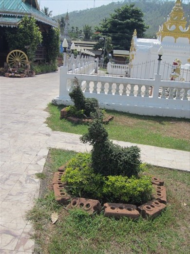 Guard dogs at the temple.