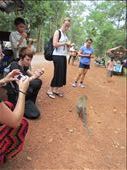 Sadie's only request:  monkeys.  We happened upon them between Angkor Wat and Angkor Thom, so fruit was bought to feed them.  She was pretty excited when she spotted them.  Like, almost peed her pants excited.  (She's going to kill me for tell you that!): by anealis314, Views[303]
