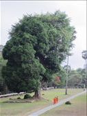 more monks at Angkor Wat: by anealis314, Views[353]